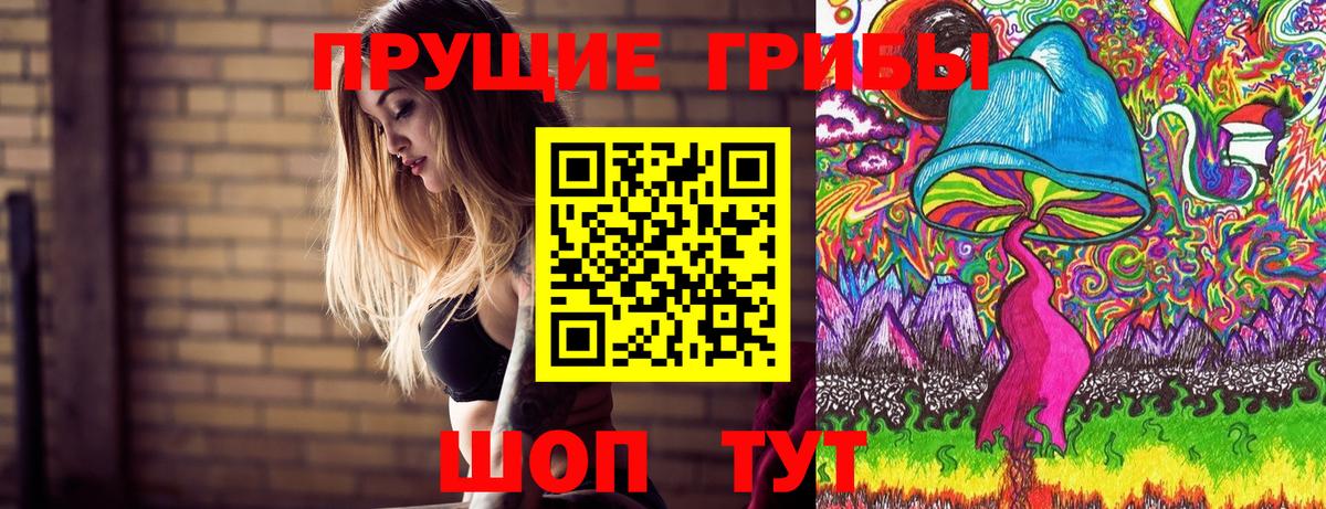 Лосино-Петровский  Псилоцибиновые грибы GOLDEN TEACHER  Псилоцибиновые грибы GOLDEN TEACHER  Вход с VPN 